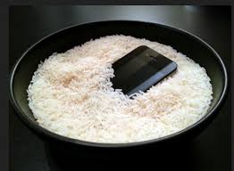 rice