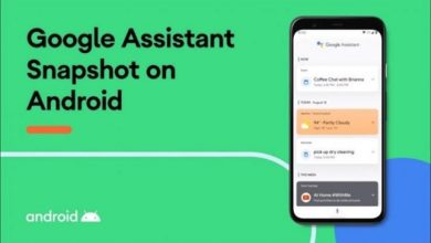 Google-Assistant-Snapshot
