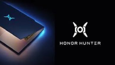 Honor Hunter