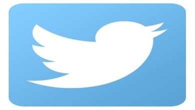 Twitter Logo