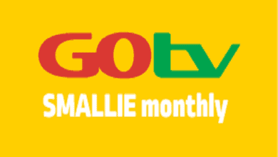 Gotv smallie channels list