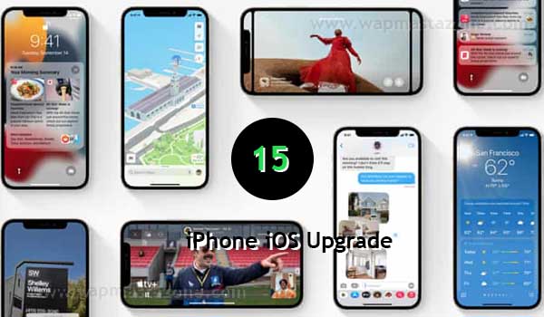 iOS 15 Update