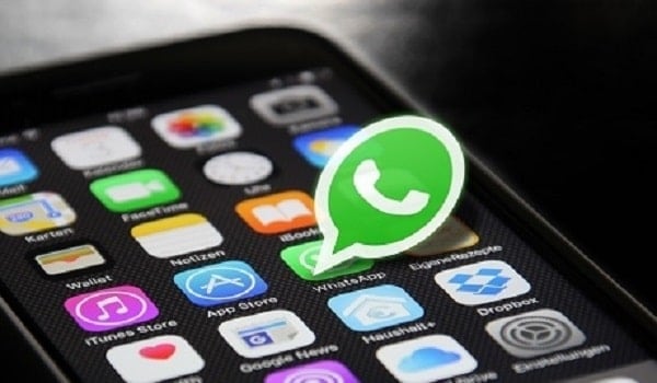 whatsapp business directory