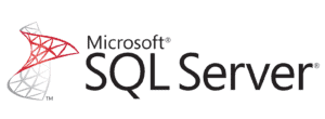 Microsoft SQL database