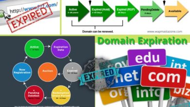 domain expiration