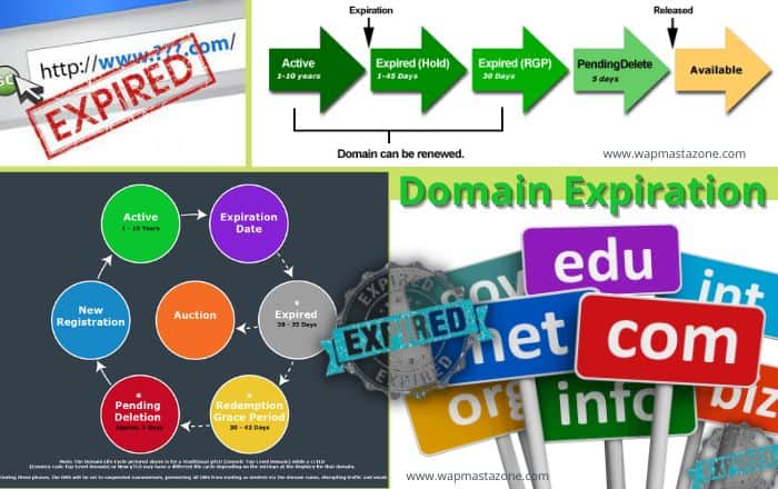 What happens to expired domains?