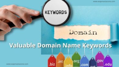 Domain Name Keywords