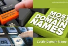 expensive domain names - costly domain name