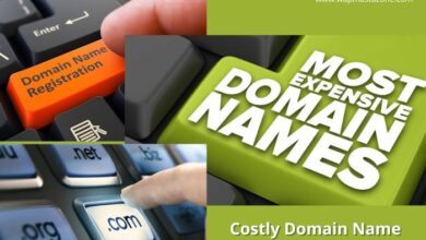 expensive domain names - costly domain name