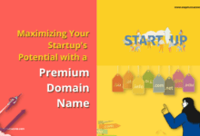 Premium Domain Name