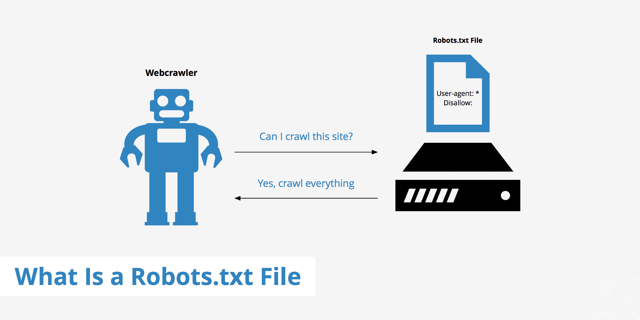 robots.txt file
