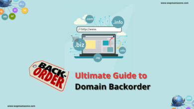 Domain Backorder