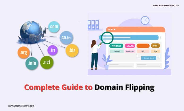 domain flipping