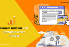 domain auction