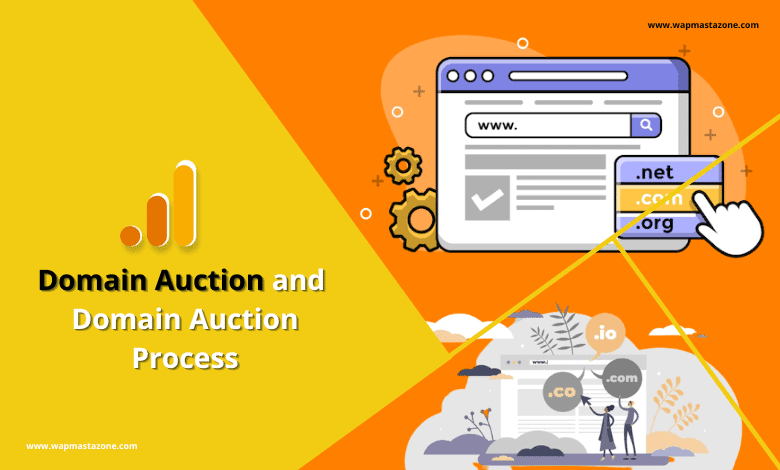 domain auction