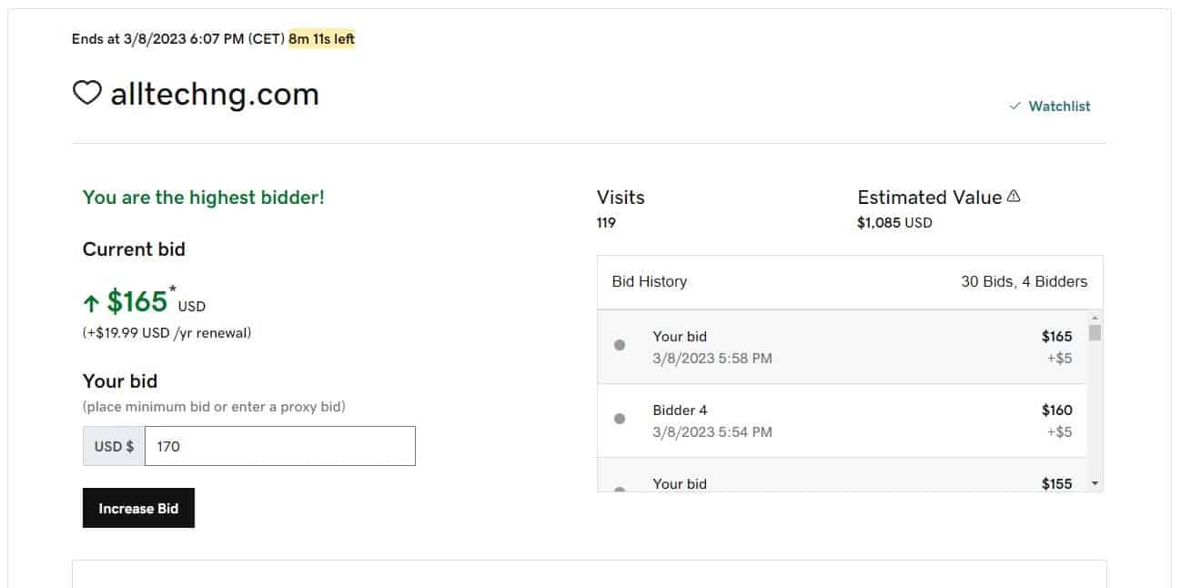 domain bidding process 2