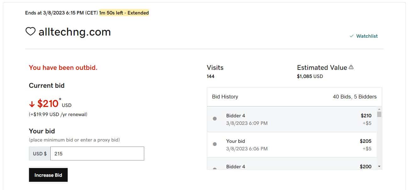 domain bidding process 3