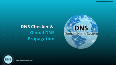 dns checker