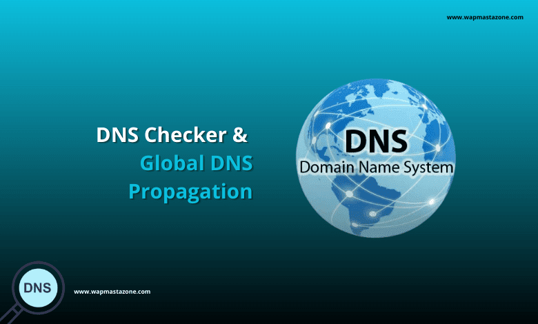 dns checker