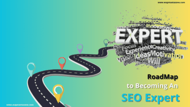 seo expert