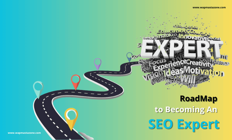 seo expert