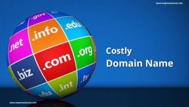 costly domain name