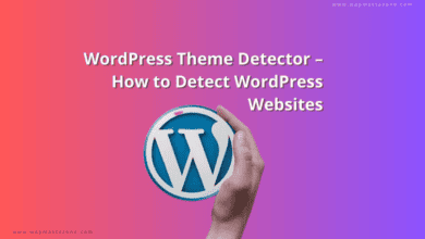 WordPress Theme Detector