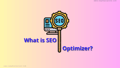 what is seo optimizer