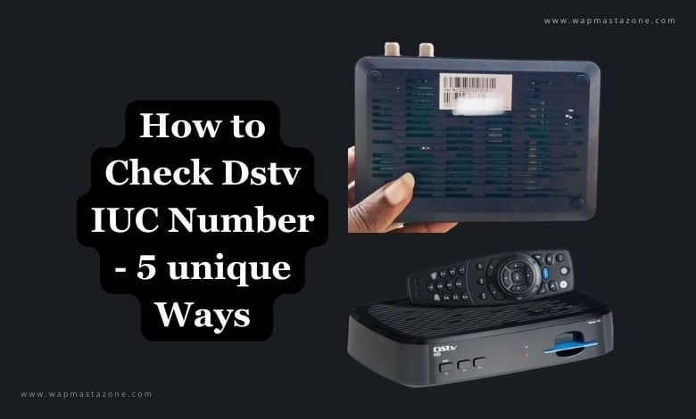 DSTV IUC Number