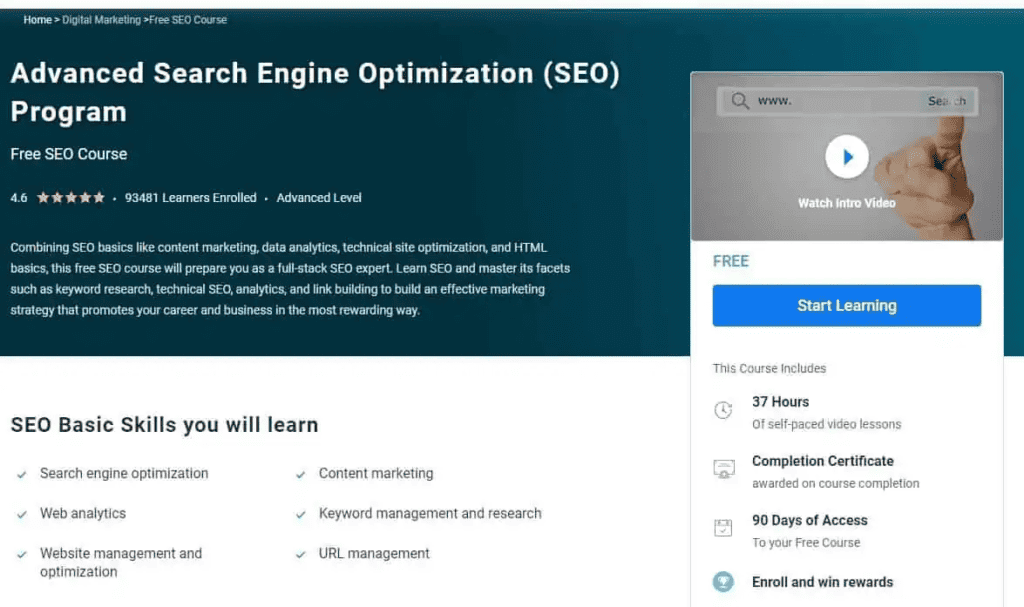 free seo courses