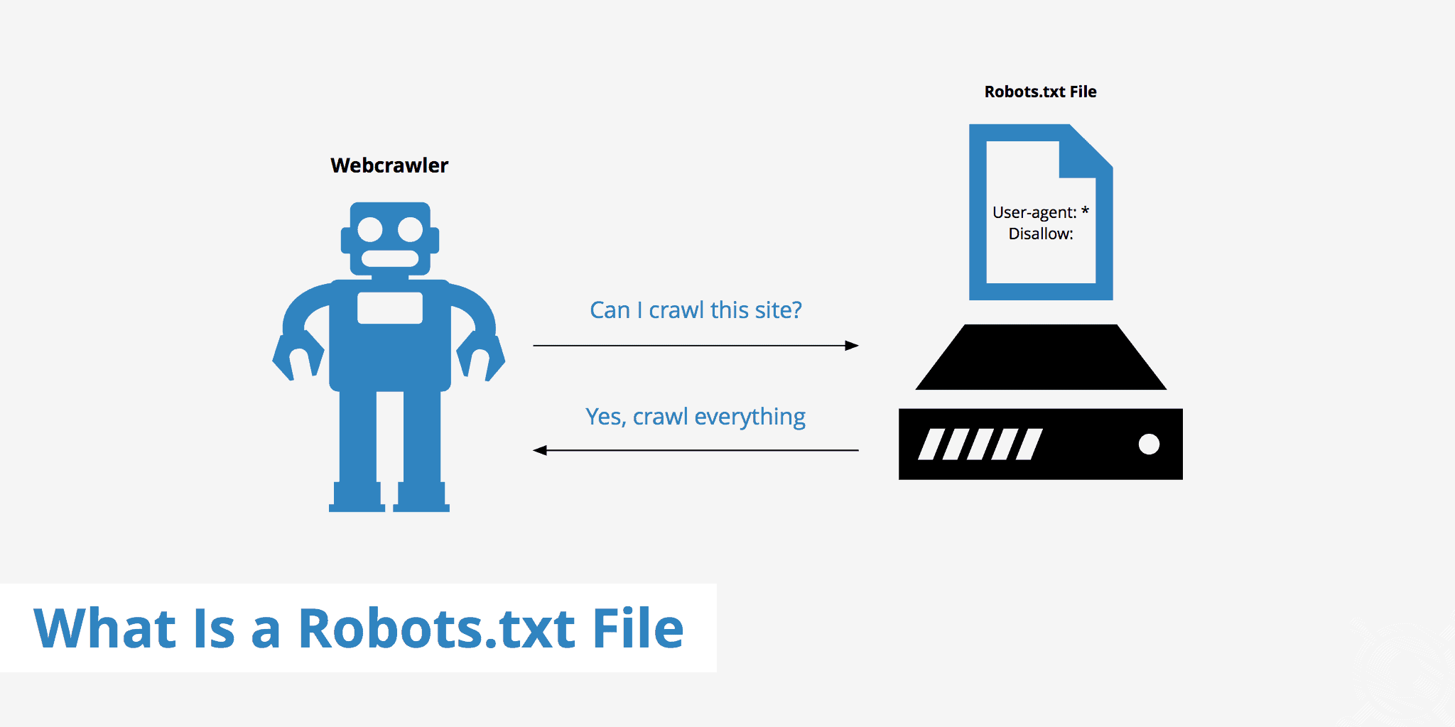 robots.txt file