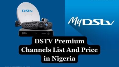 dstv premium channels