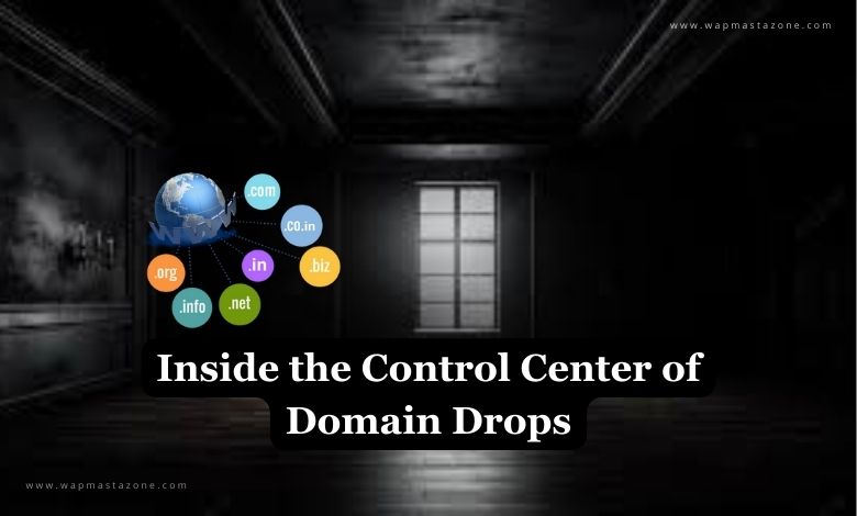 Domain Drops